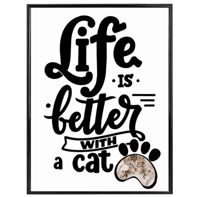  Life is better with a cat
